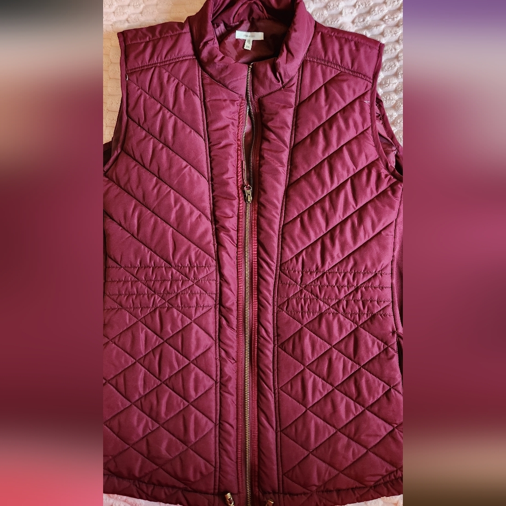 Winter Vest